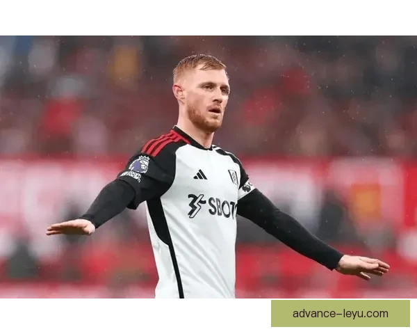 富勒姆俱乐部最新动态：阵容调整与新赛季备战全面解析